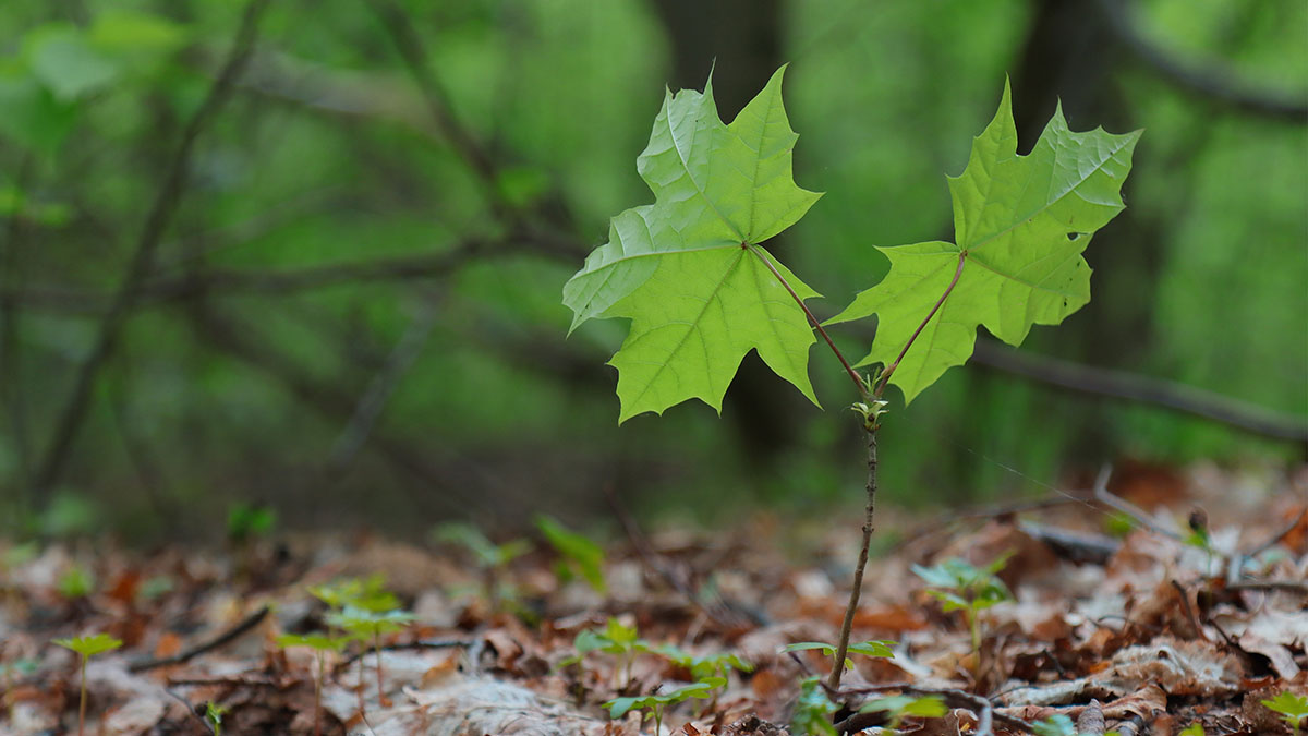 How to Lead With Steadiness When Everything Feels Uncertain